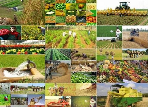 Agricultural Products